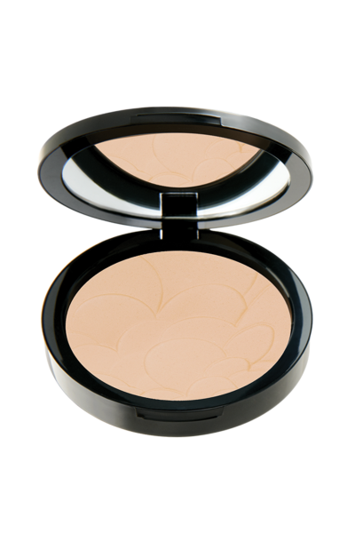 Pastel Advanced Compact Powder - Pudra 45